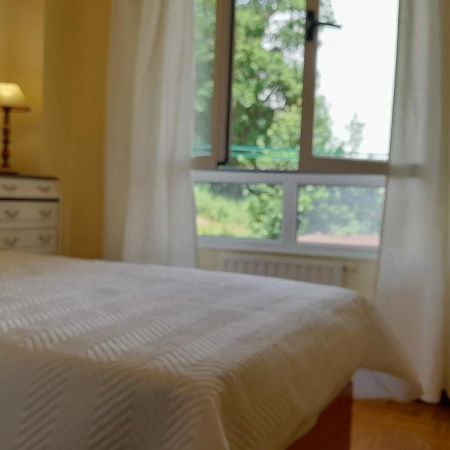 El Retalin Apartment Pola de Lena Bagian luar foto